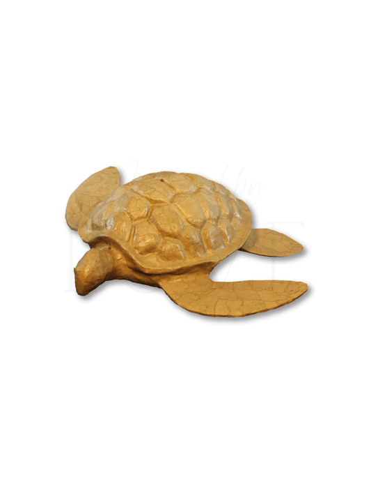 Sea Turtle Urn - Anchored by Love