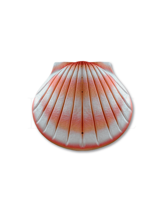 Shell Urn - Coral - Anchored by Love