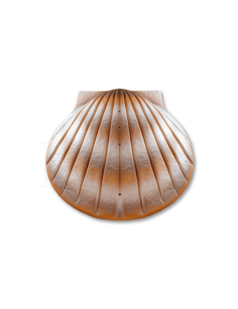 Shell Urn - Pearl - Anchored by Love