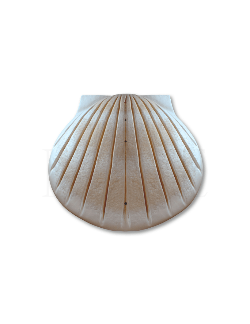 Shell Urn - Sand - Anchored by Love