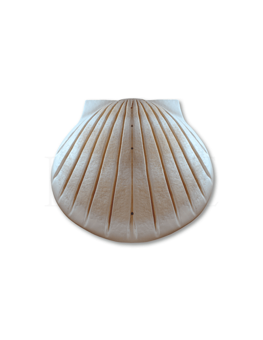 Shell Urn - Sand - Anchored by Love